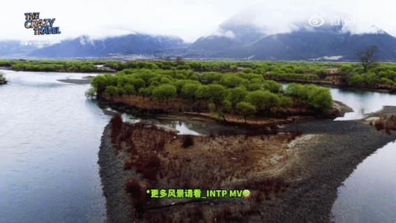 姚琛姚琛去西藏带了40罐氧气瓶太有生活了属于是，去西藏真的要带够氧气罐，真的特别