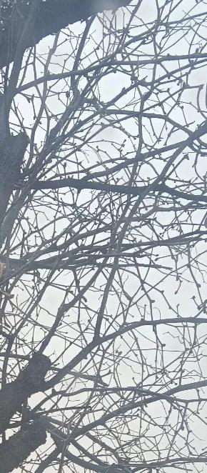 如今到了年底，在外面打工的人陆续的回了家。天气不太冷，很多人还闲不住，年龄已经6