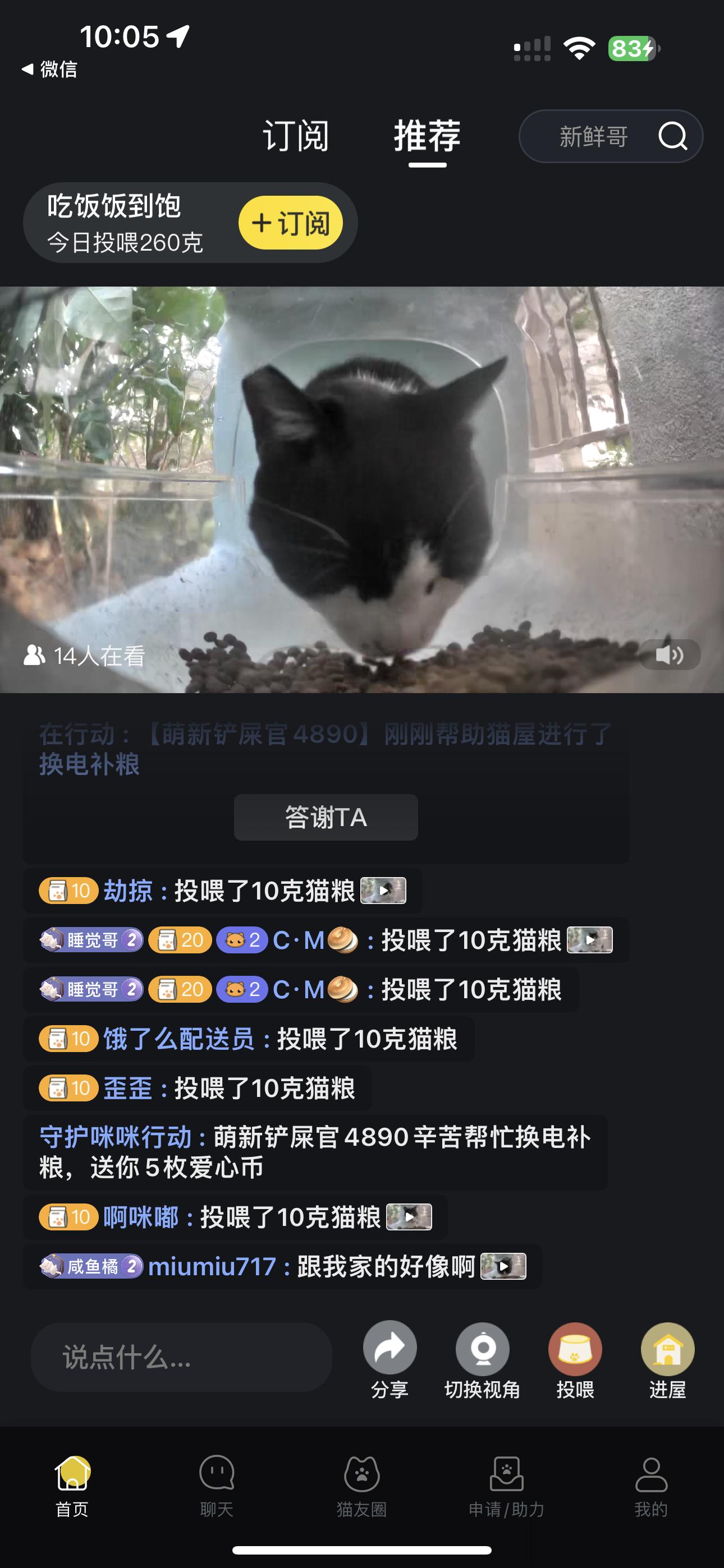 玩了一上午街猫app上瘾啊哈哈哈哈看猪子吃饭啊哈哈哈哈哈 ​​​