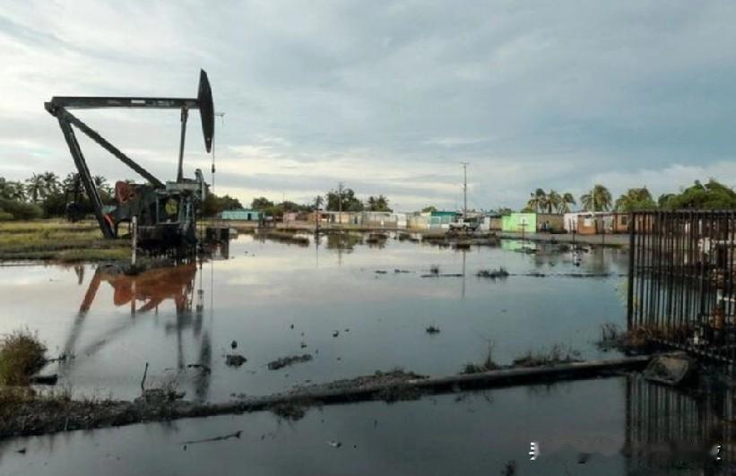 美国官员称美国完成委内瑞拉第一笔价值5亿美元的石油销售。
路透华盛顿1月14日电