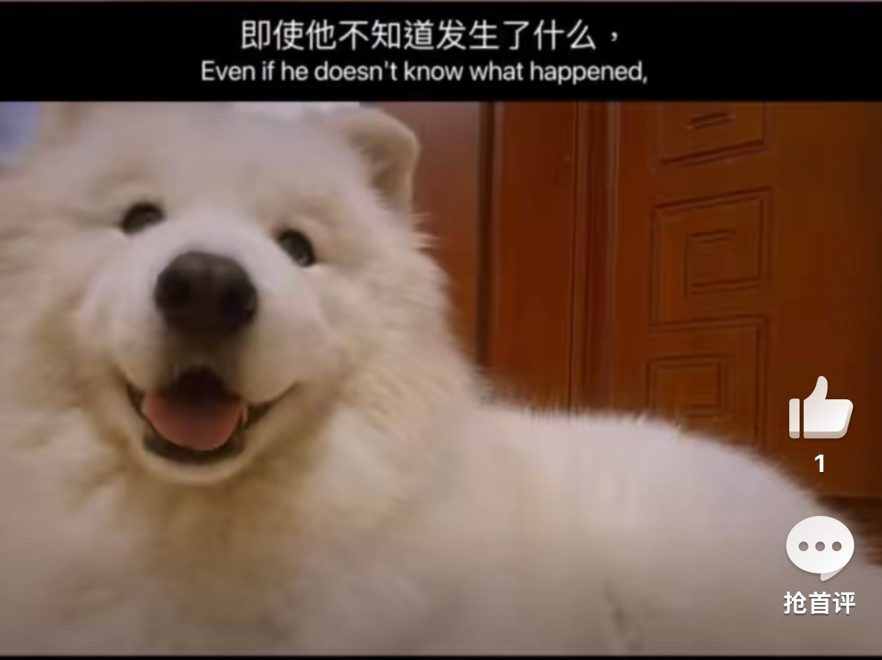 养宠物的意义具象化了 每一次回家，看到宠物用期待的眼神看着我，心里充满了暖意。打