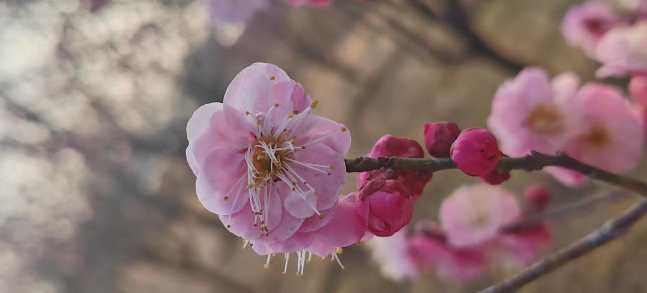 西汉末年，全国人口五千九百多万。西晋灭吴前夕，当然不含吴国人口，人口五百三十多万