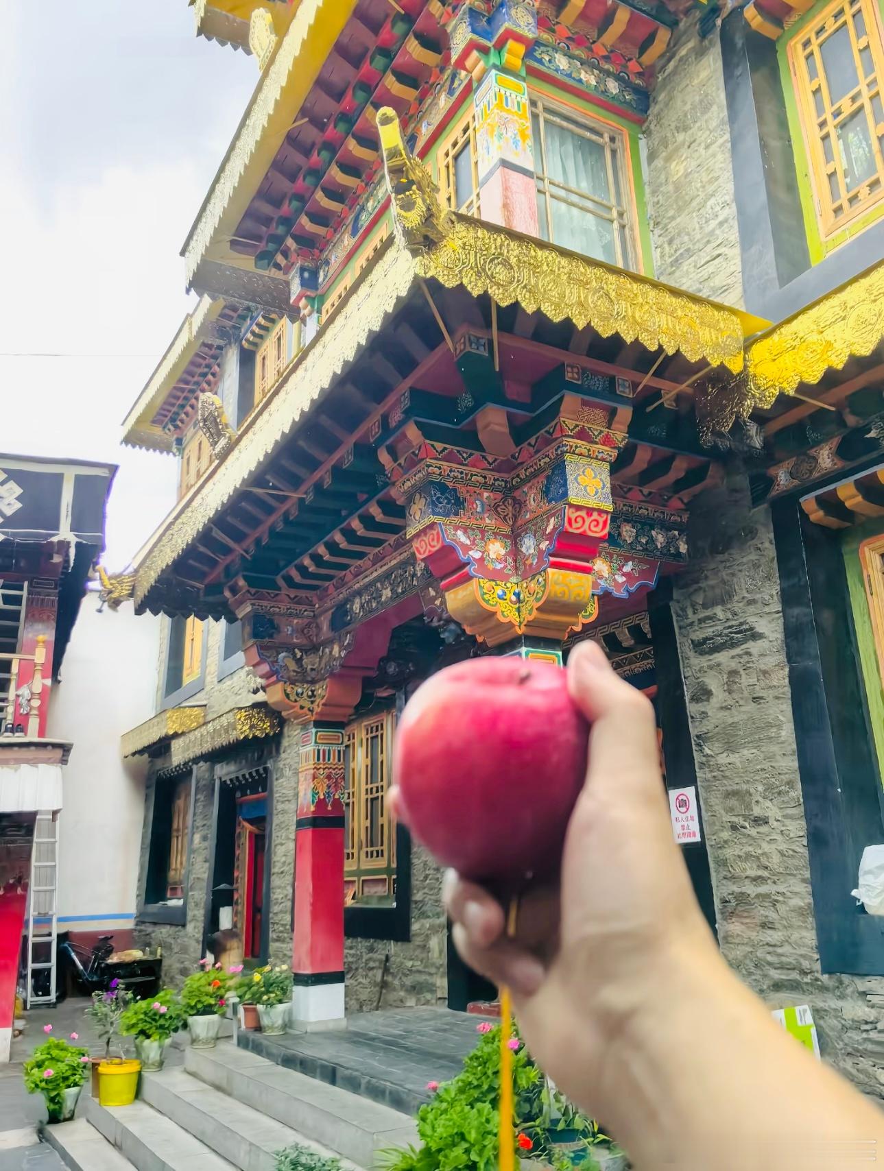 日行一善 微光虽渺，万丈成炬。点滴善意汇聚起来，就能够温暖世间。愿我们常怀悲悯之