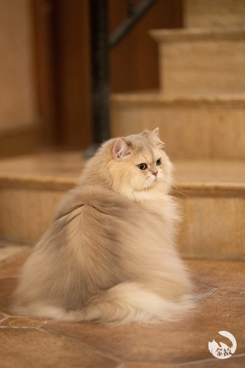 呢嚎，我系宝宝龙哇❤️