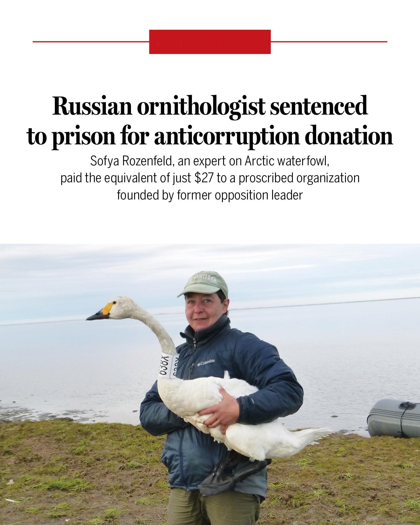 🇷🇺这个国家一言难尽！刚刚判了鸟类学者索菲娅·罗森菲尔德3年半！罪名是她20