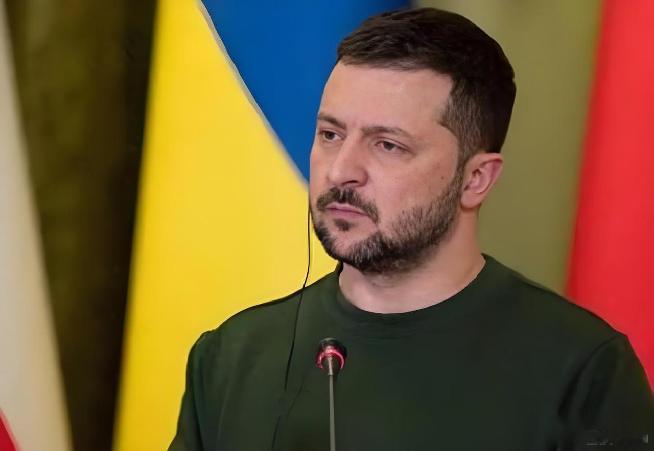 泽连斯基准备卸任。

俄罗斯卫星通讯社华盛顿12月30日电，泽连斯基在与美国总统