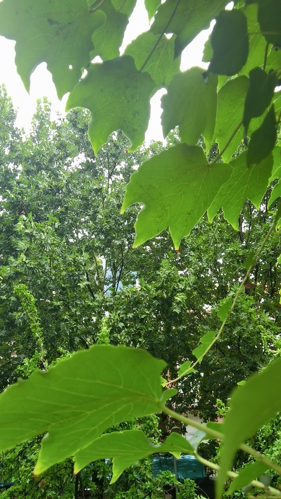 雨，一直下……
这里是