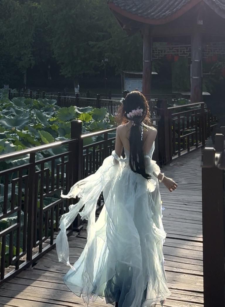 蒹葭苍苍 白露为霜