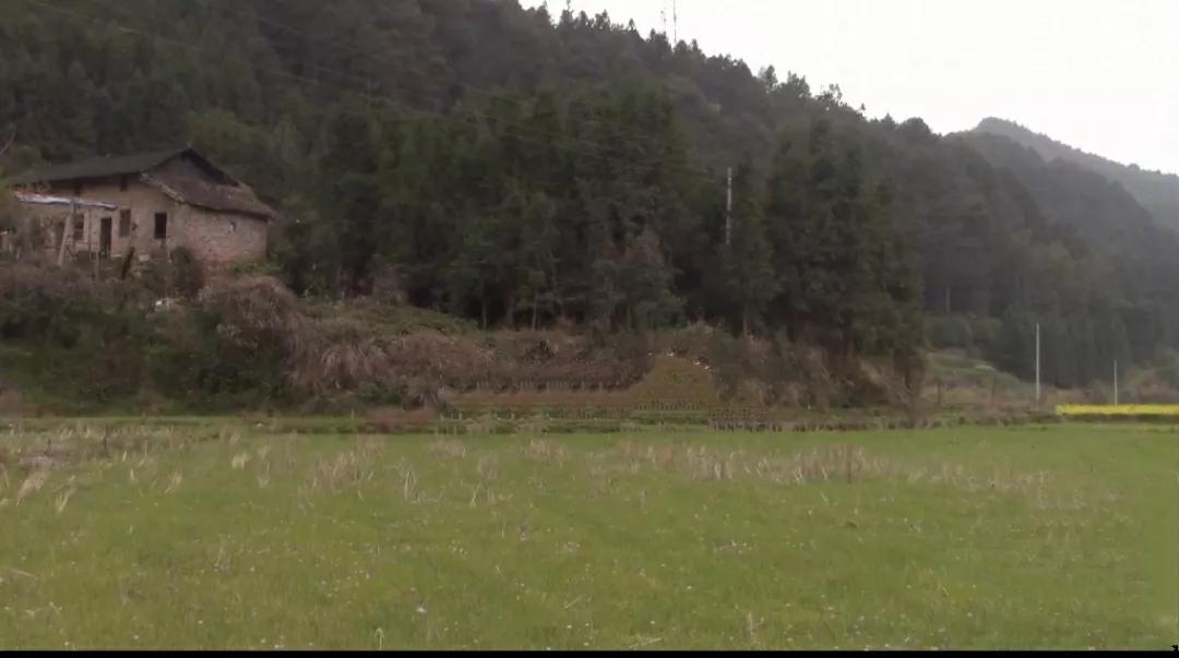 租房山居的这几年里，因各种原因，换了四处地方，每一处地方都让我深深留恋和惦记
