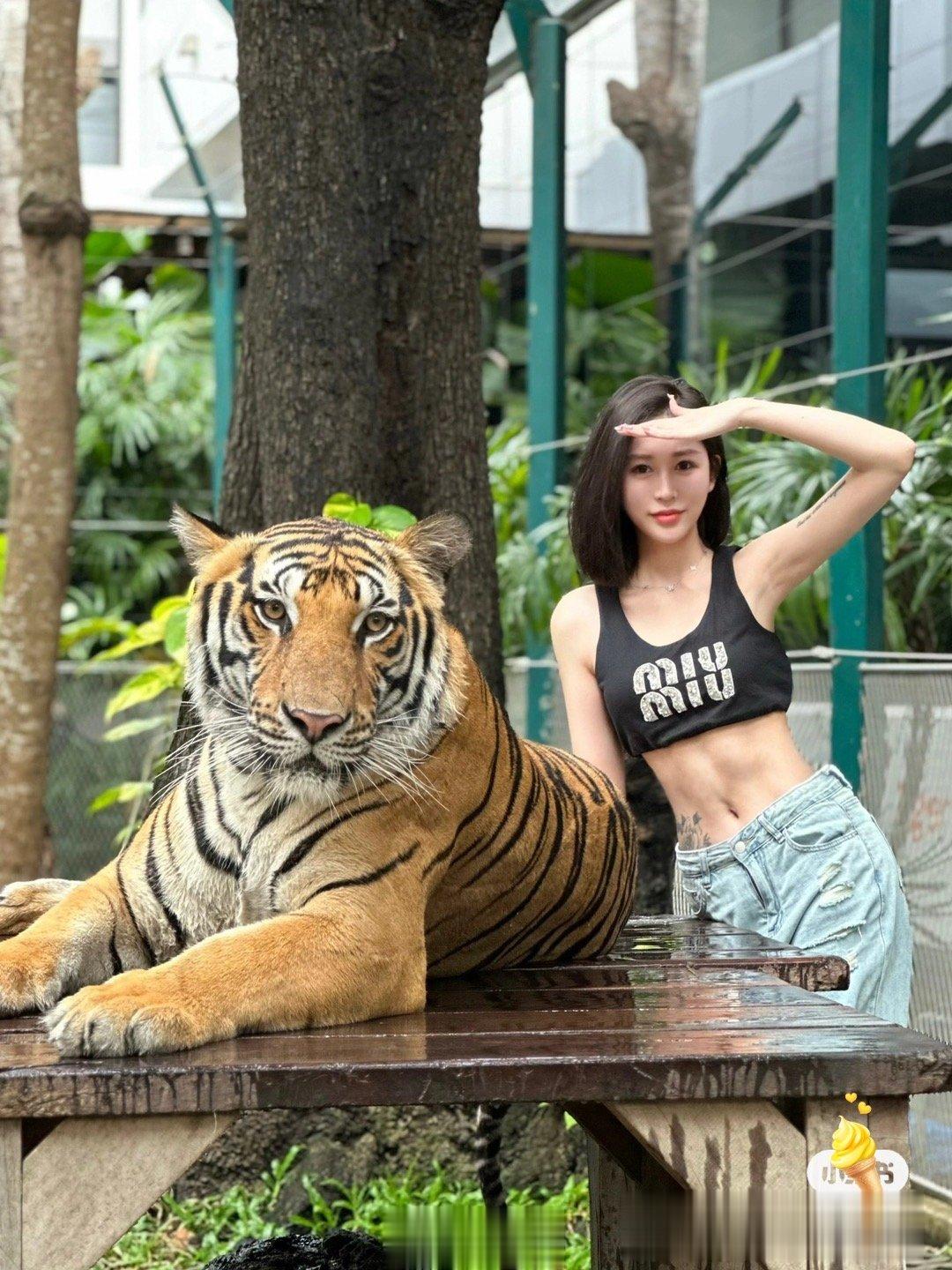 摸大猫咪  ​​​