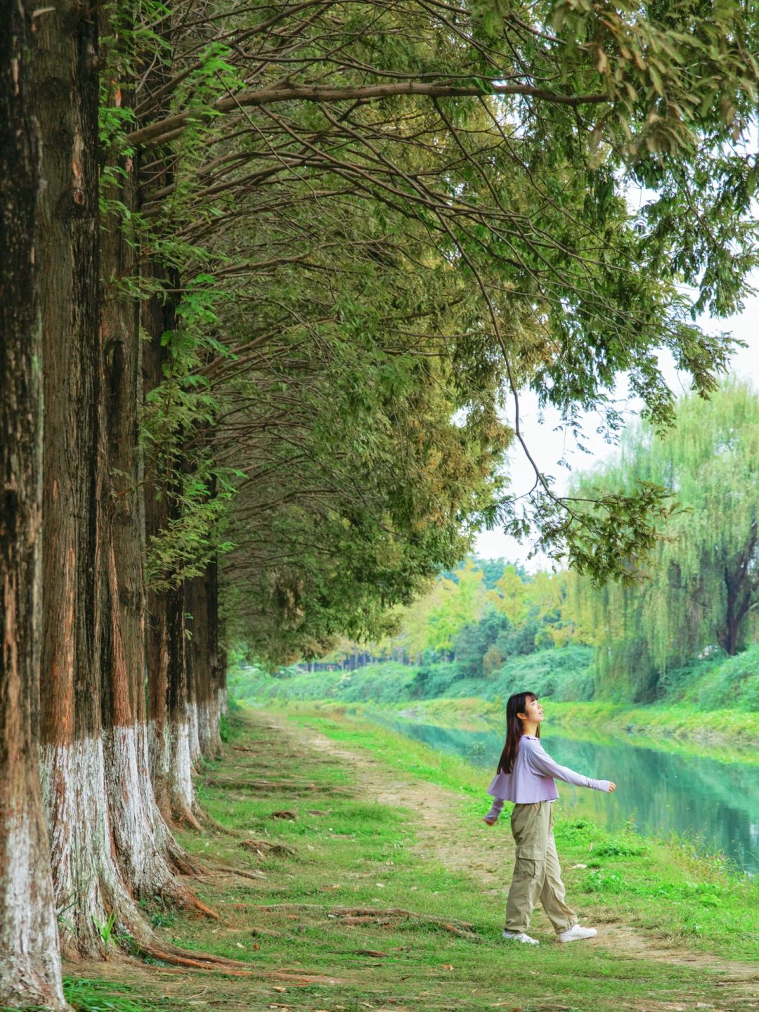 不出成都，推荐一条适合轻徒步的森林路线🌲