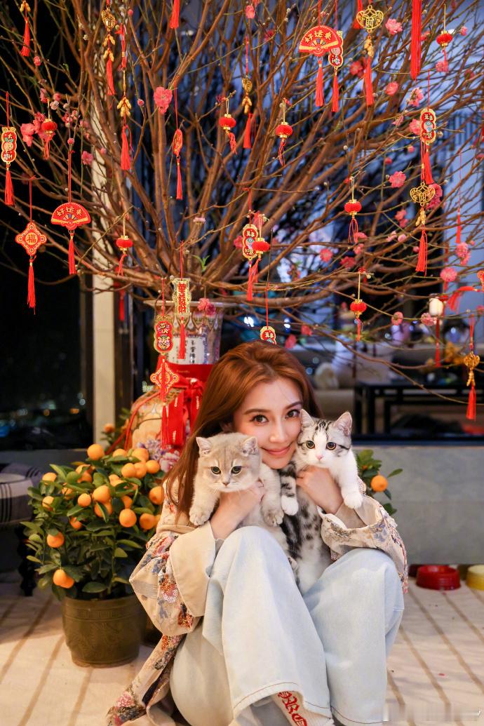 Angelababy愿大家阖家团圆  Angelababy元宵节送祝福来咯，愿大