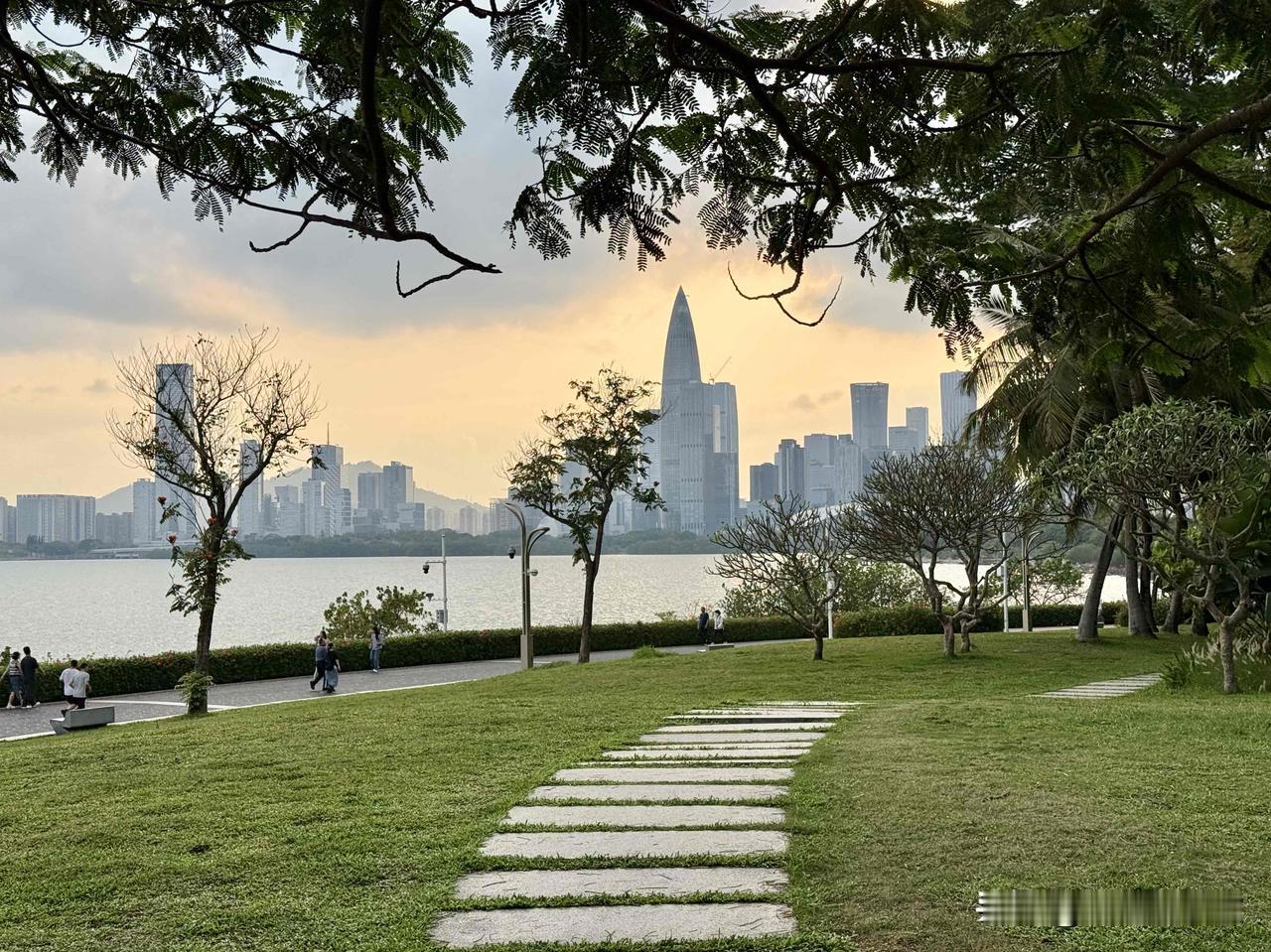 夕阳下的深圳湾，那景色绝了！余晖洒在海面上，波光粼粼，像撒了一层碎金。岸边的高楼