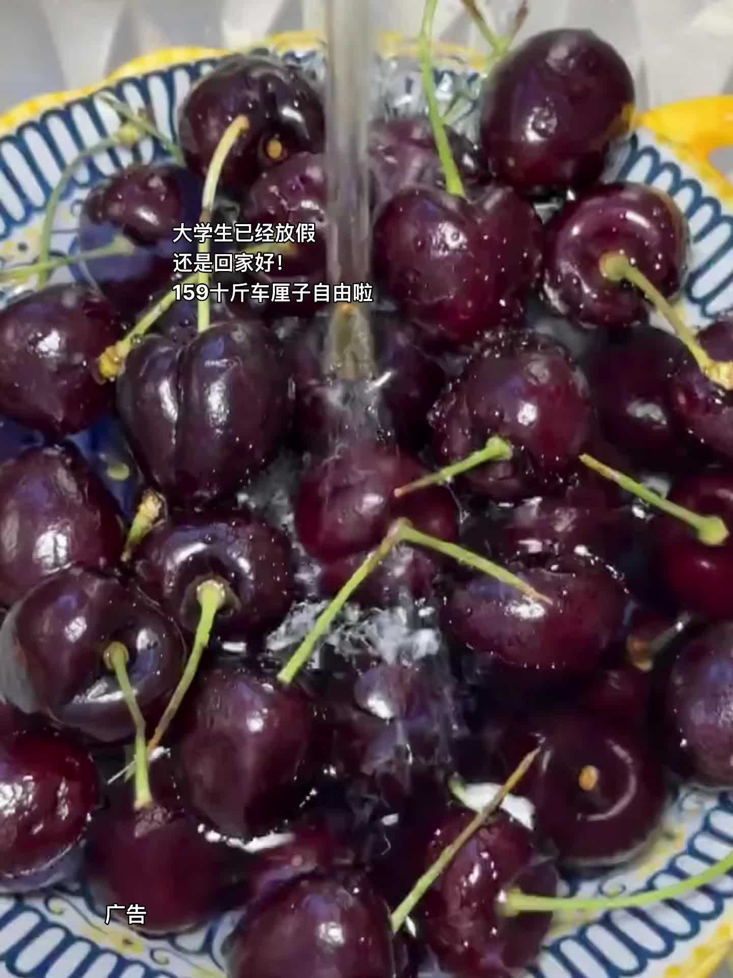 还是回家好！159十斤实现车厘子自由啦