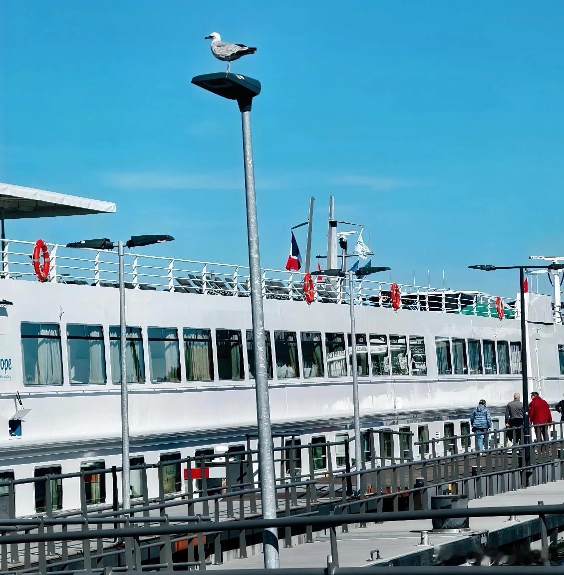 此次欧洲之行选择的是乘河轮游莱茵河。从阿姆斯特丹登船，在莱茵河逆流而上，经德国、