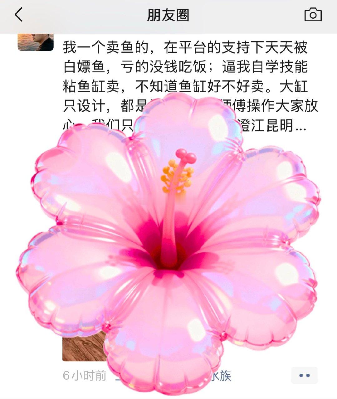 🐟鱼本来就属玄武！小人不多才怪！曝光率越高 小人就越多，单独线下售卖 比较局限