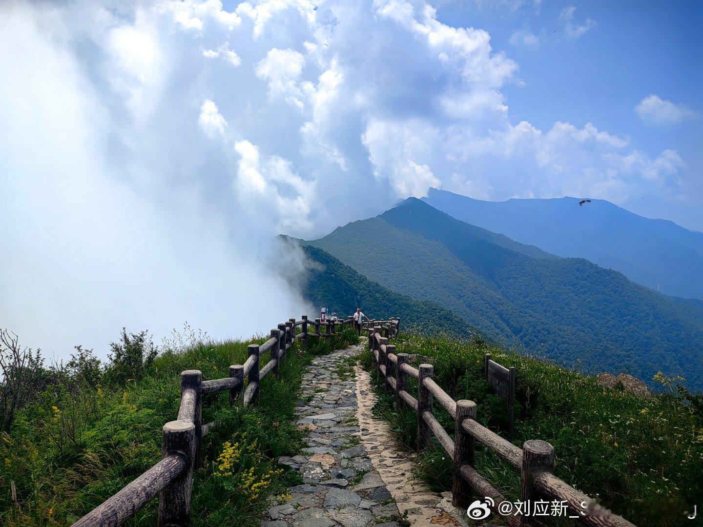 走山访云海 周末好时光！🚶日出云海  ​​​