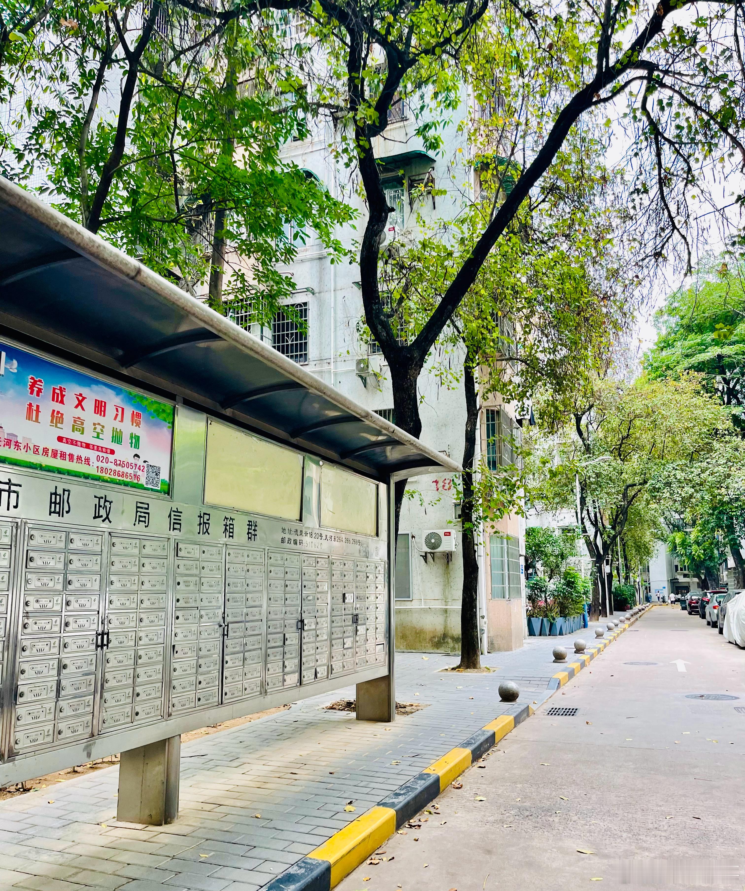 30年的小区，虽有些岁月的痕迹，但还是很雅致漂亮。这是我青少年时期温暖的家园。小