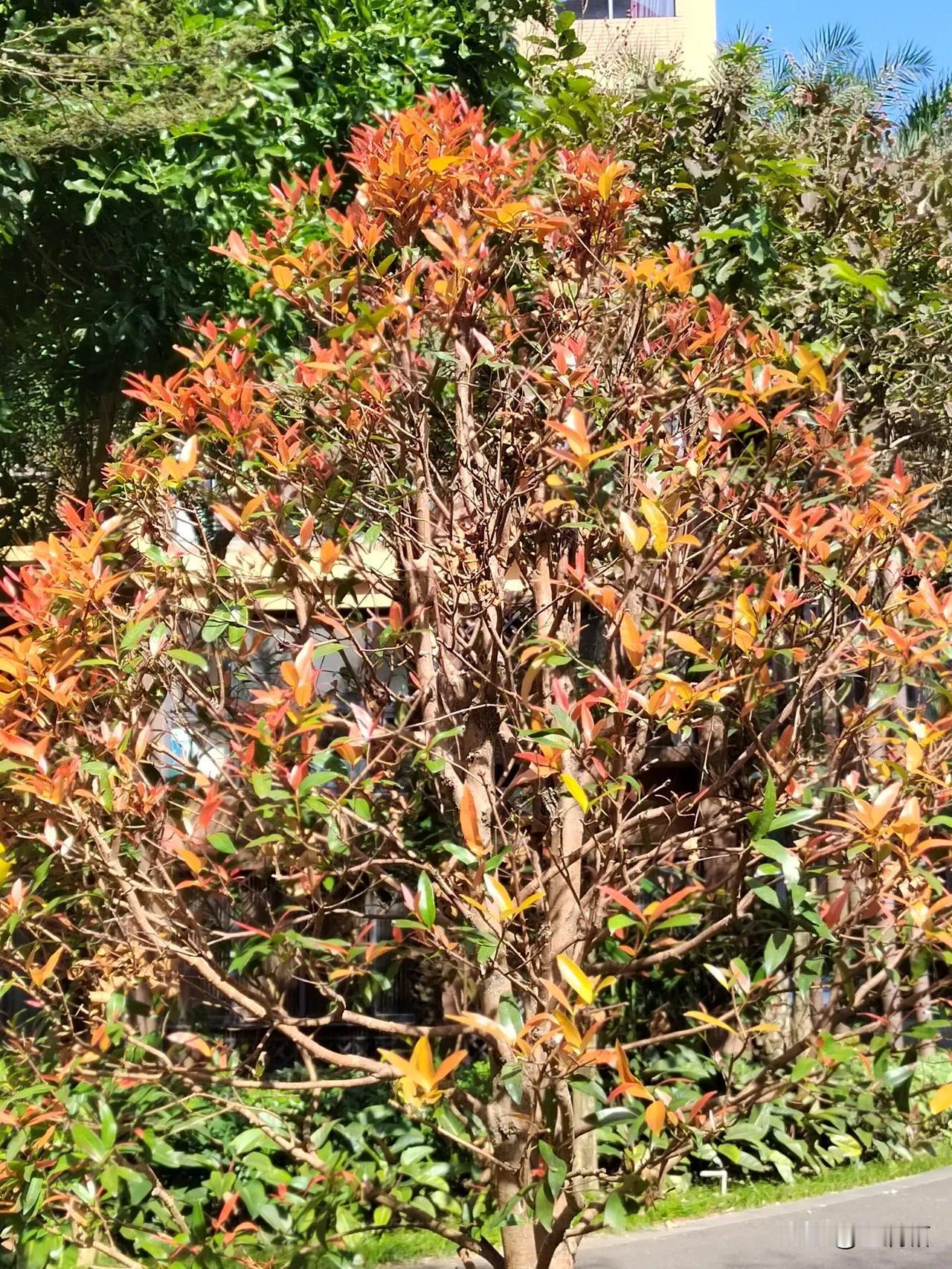 现在现在的物价也越来越贵，洗一次车要收40块钱。以前是10块钱请一次，最近一次是