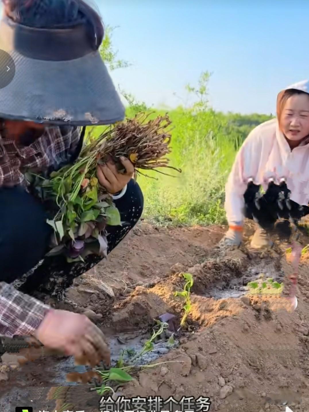 也不知是傻大妮太惯着儿媳妇，还是儿媳妇本就娇情。

这都生完孩子两个月了，又不是