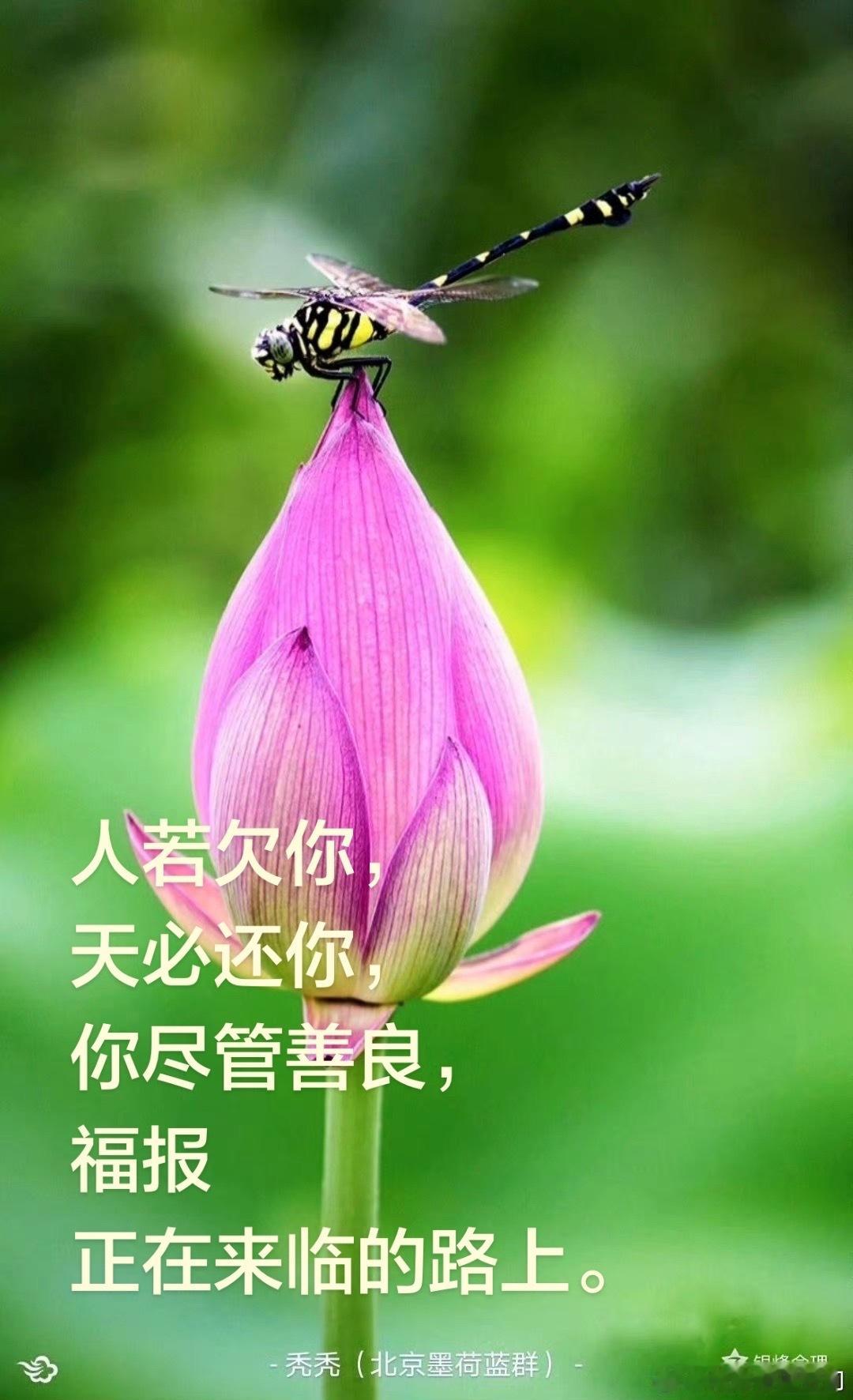 分享图片 