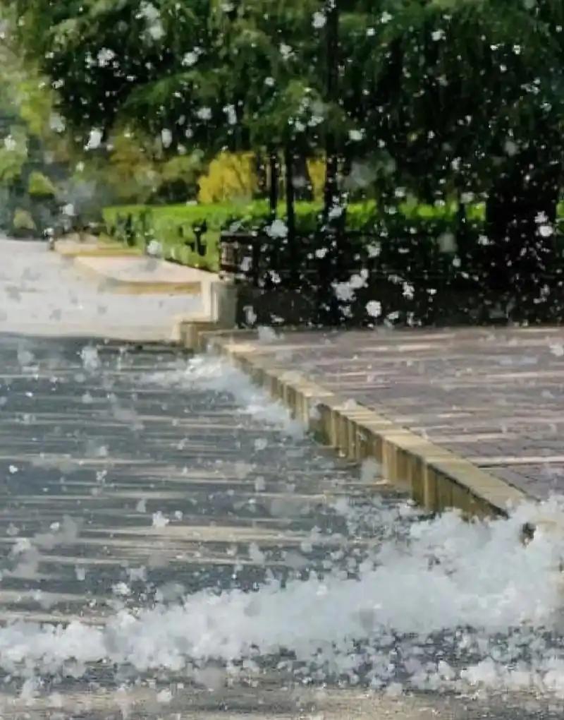 城市的柳树每到4月就柳絮满天飞，为啥不能把它砍掉，种成别的树木呢？

柳树大小城