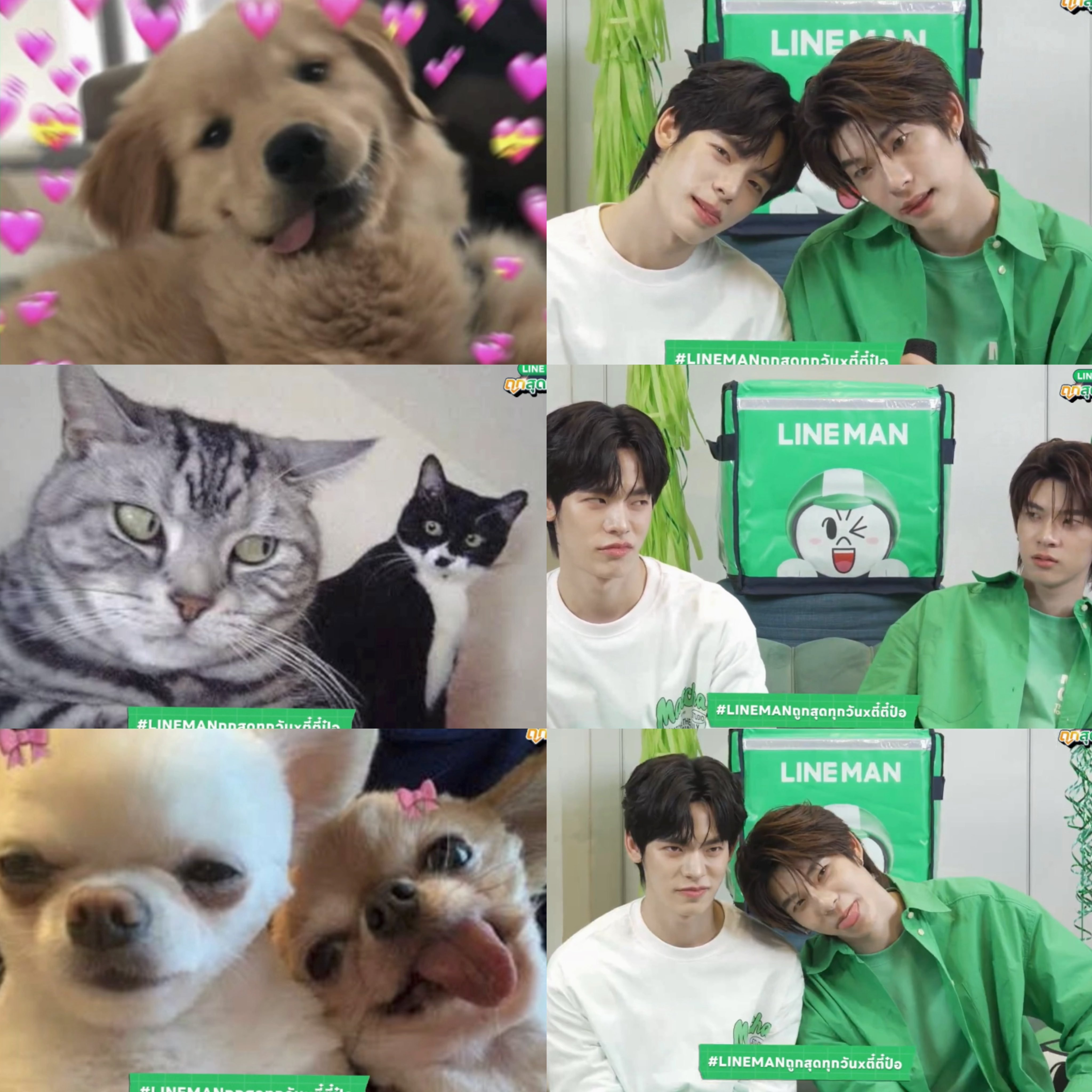 太萌啦～🥰teeteepor[超话]teeteepor ​​​