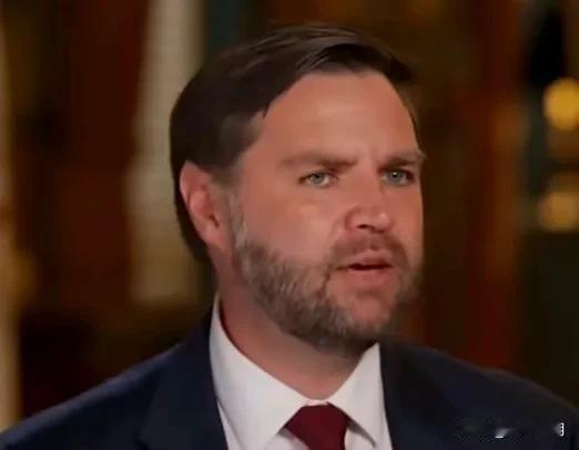 万斯表示：“我们对欧洲人说的是，首先，这显然是你们的势力范围，这是你们的后院。你