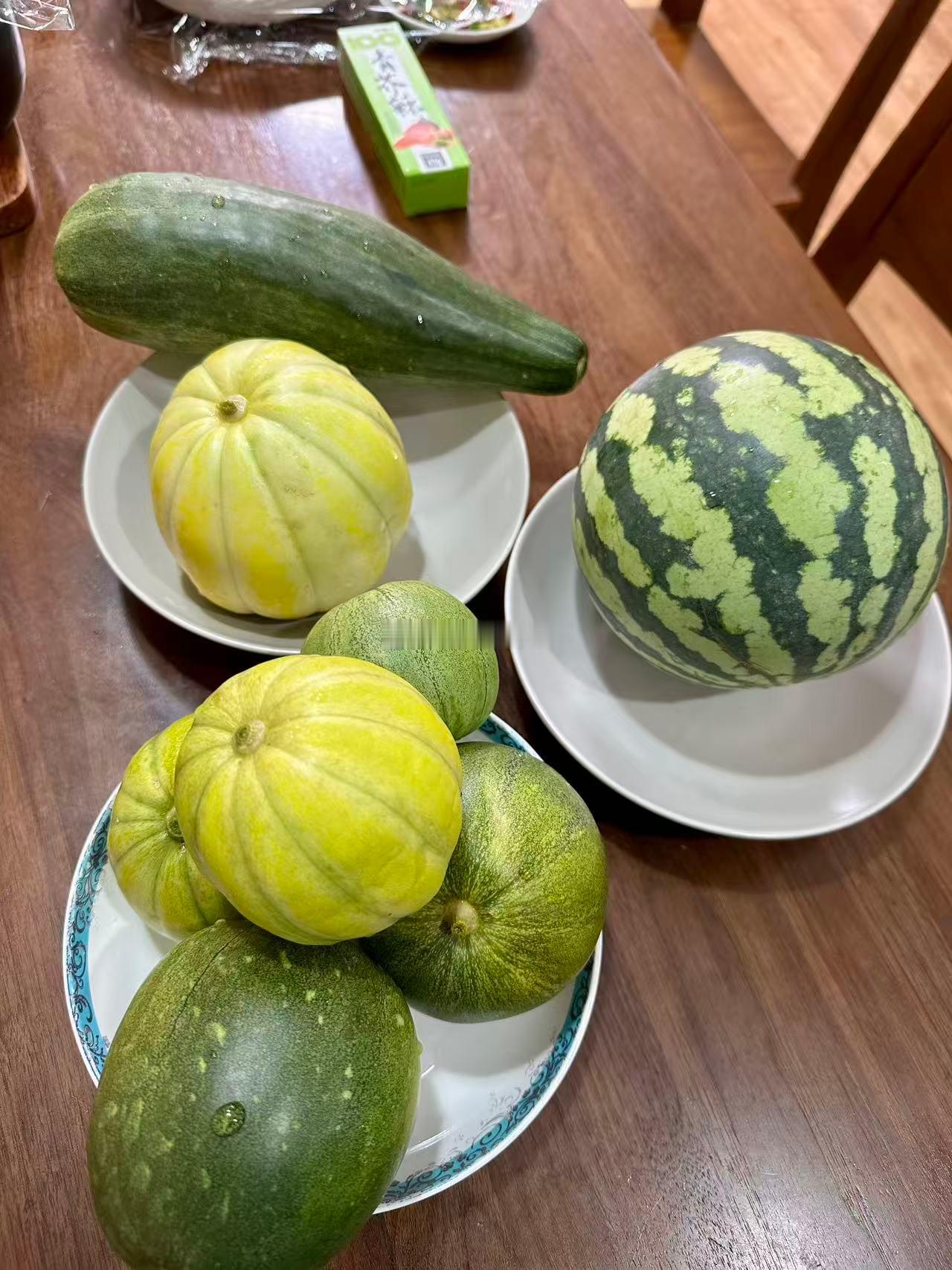 看看我立秋之前的收获吧，大部分4-6月期间，这个月只收获了辣椒和南瓜！ 