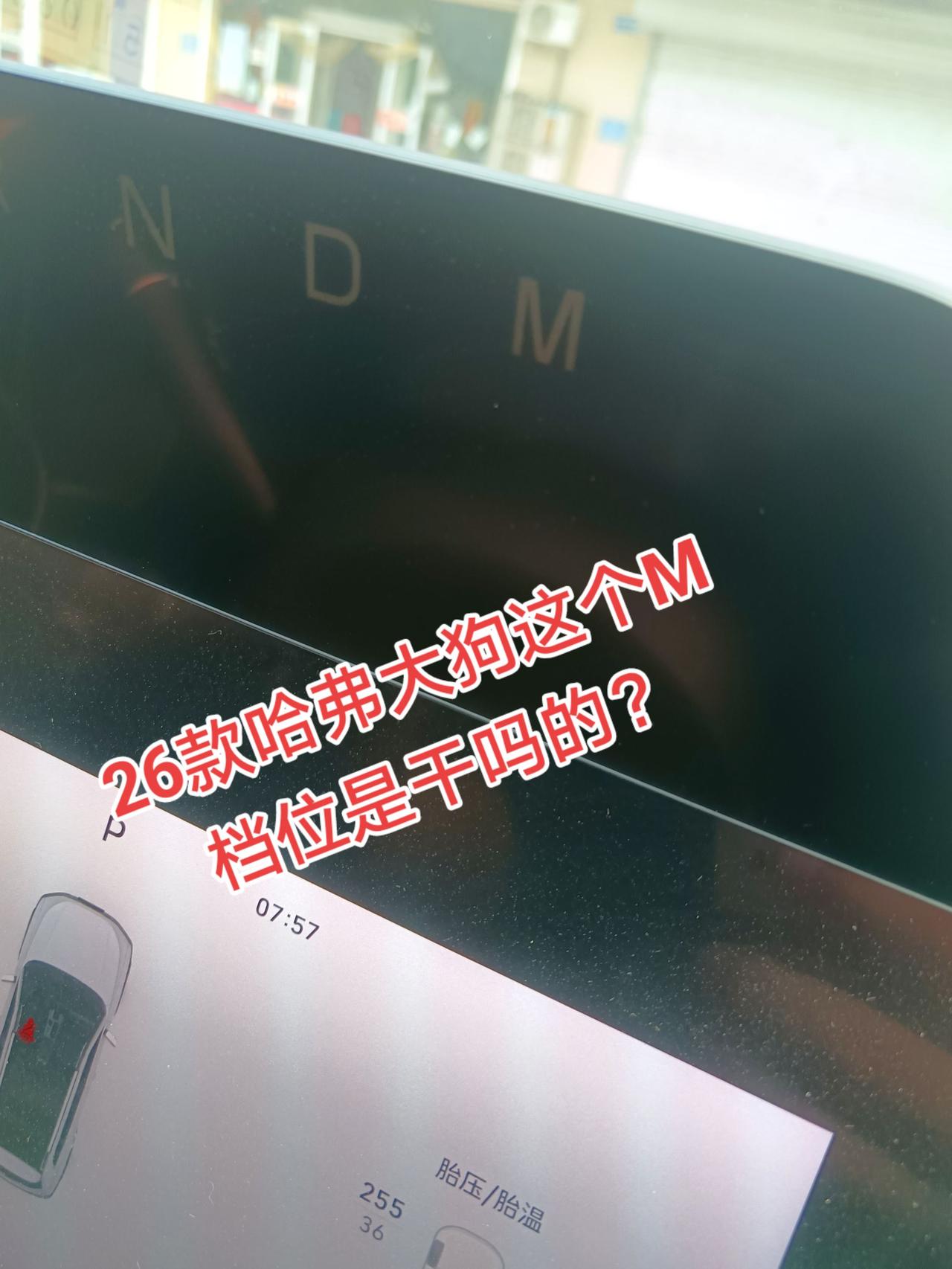 从来没挂入过这个档位，你们的大狗怎么挂上m档的？