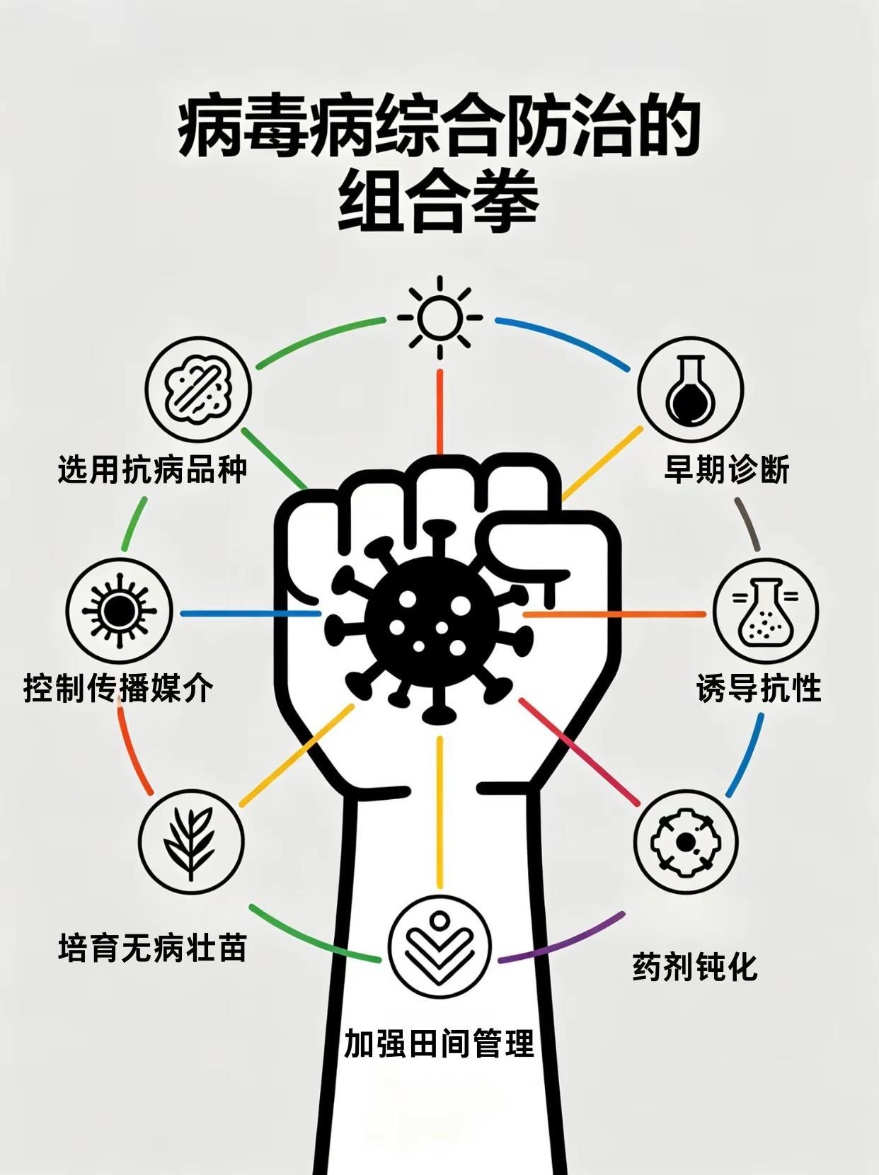 病毒病综合防治的组合拳！。病毒病