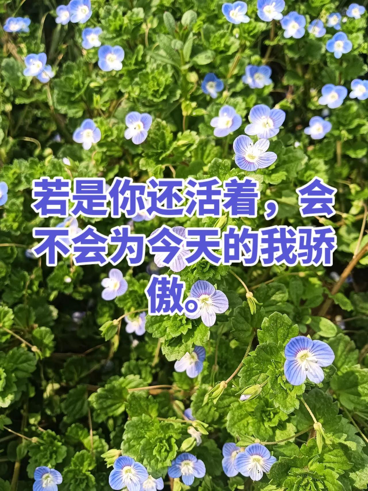 我很想你你知道吗？