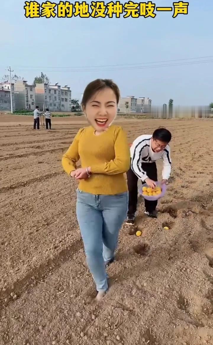 谁家的地没种完吱一声。