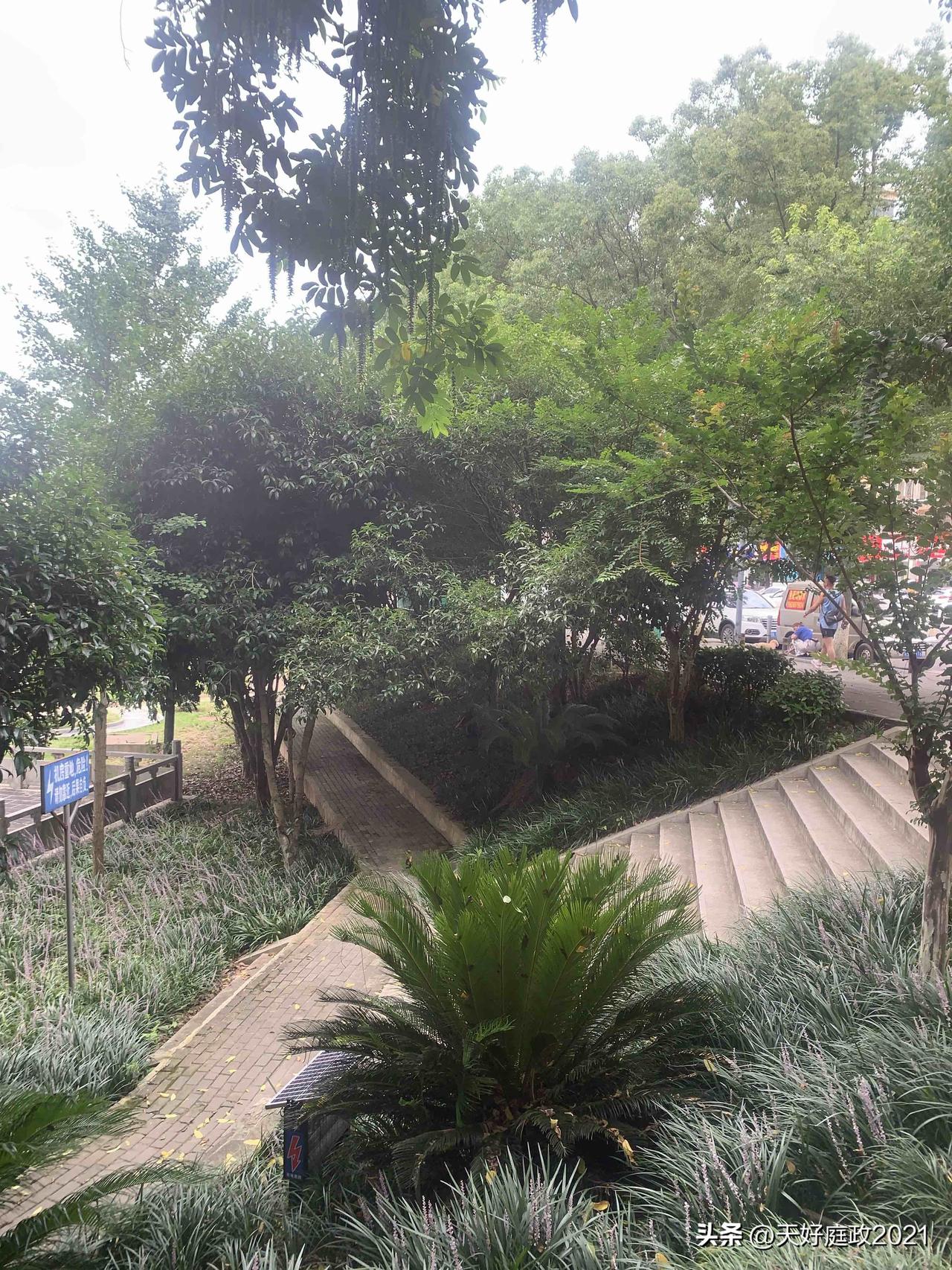 暑气蒸腾之时，学会张弛有度，忙时踏实做事，闲时接纳慵懒。用心感受生活里微小的美好