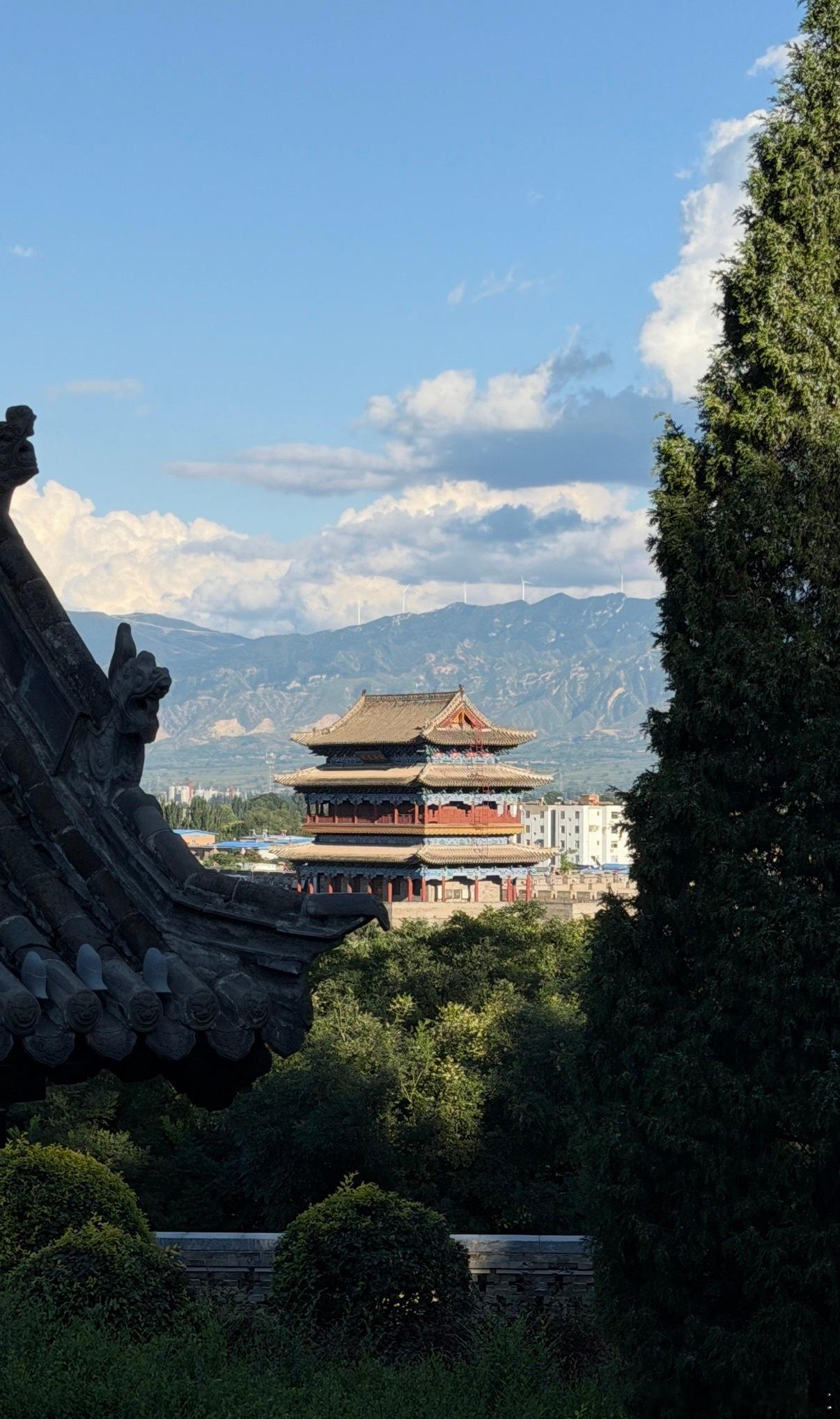 有些事情你不需要赢，你只要脱身，认栽，买单，离场，去过清静日子。 ​​​