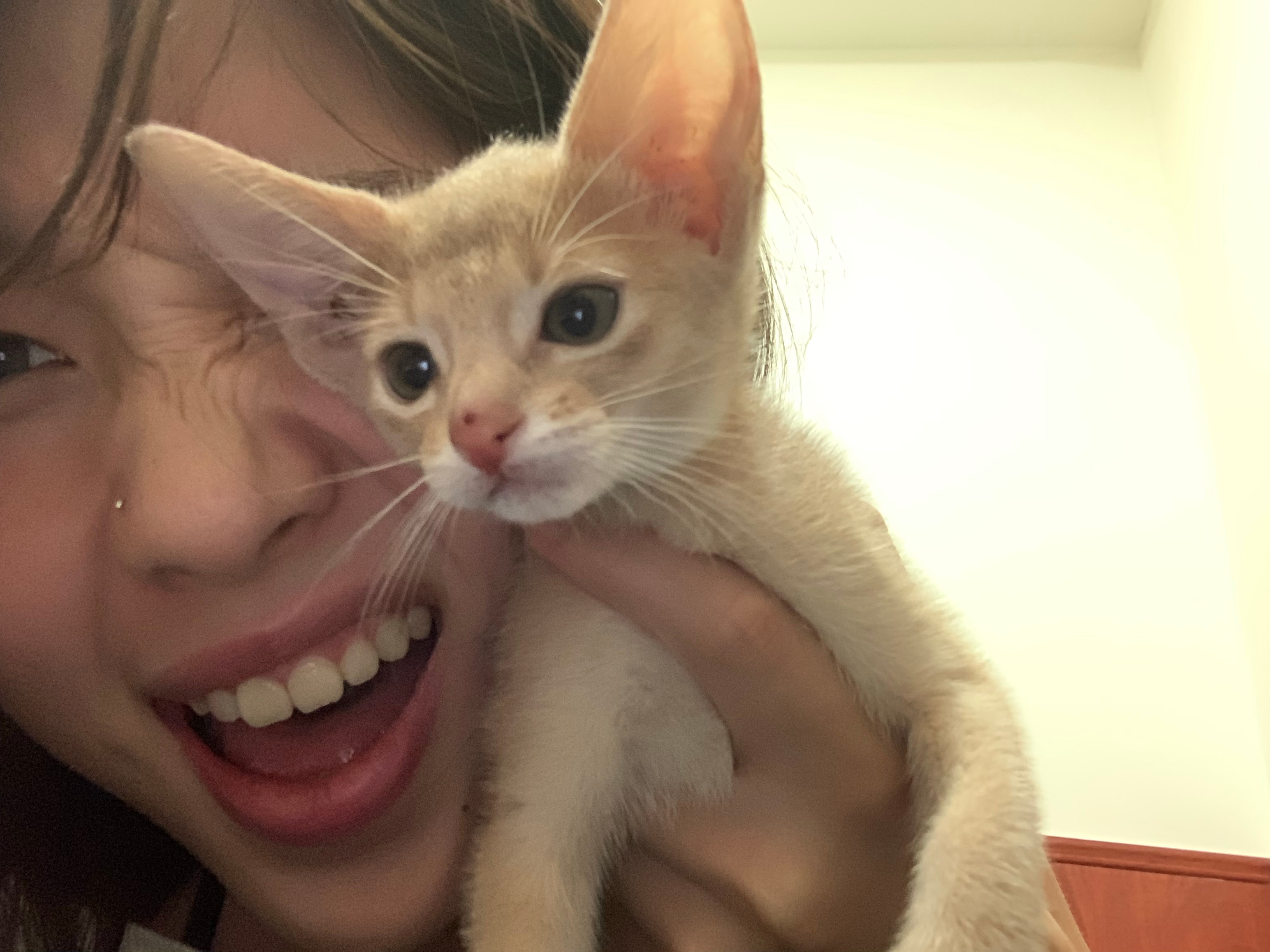 🐈 ​​​