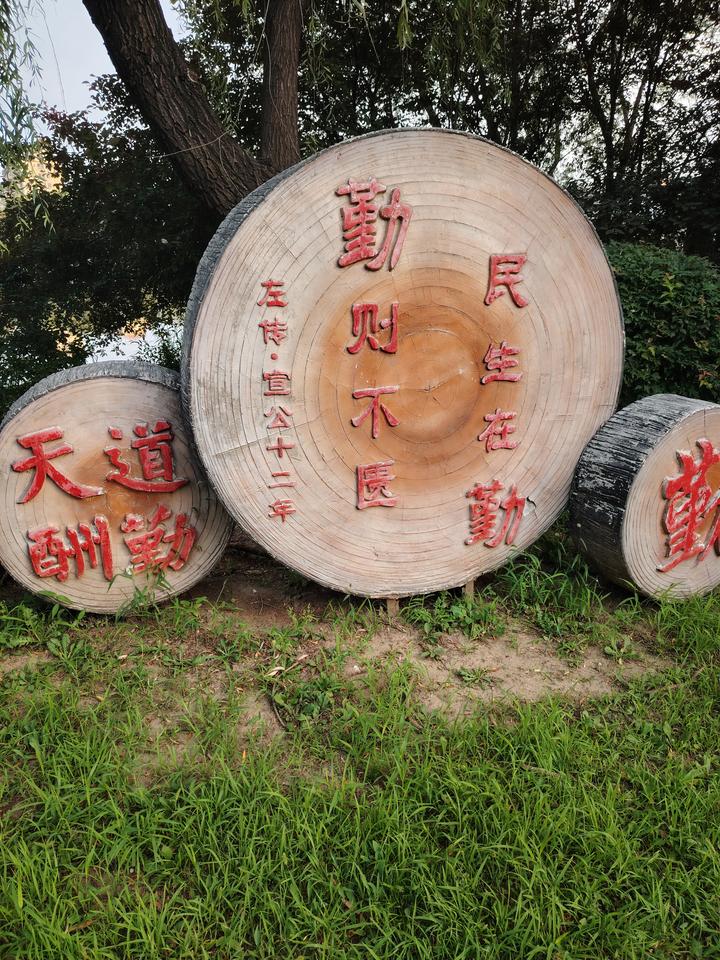 路过公园所见，说的太好了，勤能补拙，天道酬勤！