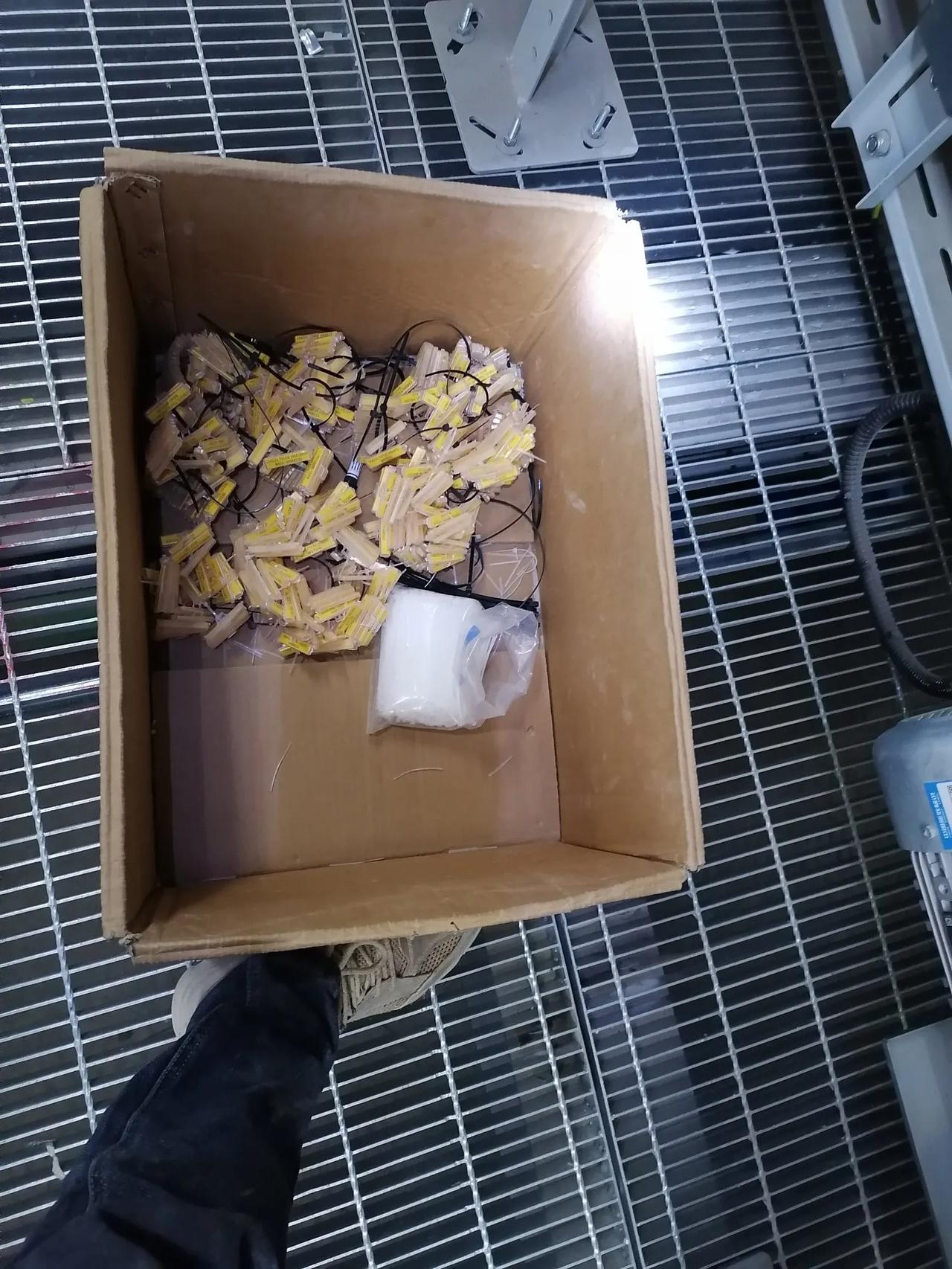 大家好，我是水电工星仔，现在在一个工地干点工，360一天，包住不包恰。
今天上班