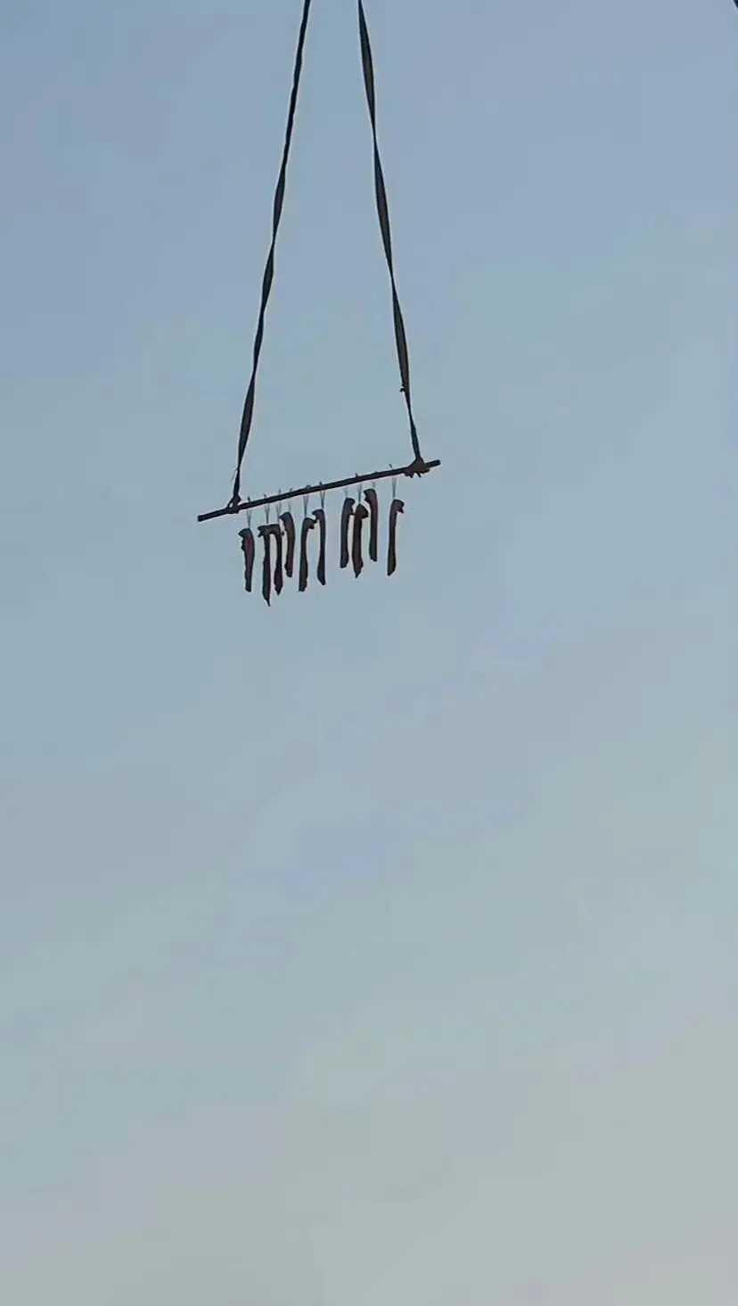 防盗的最高境界
不敢想象这个腊肉主人经历了什么