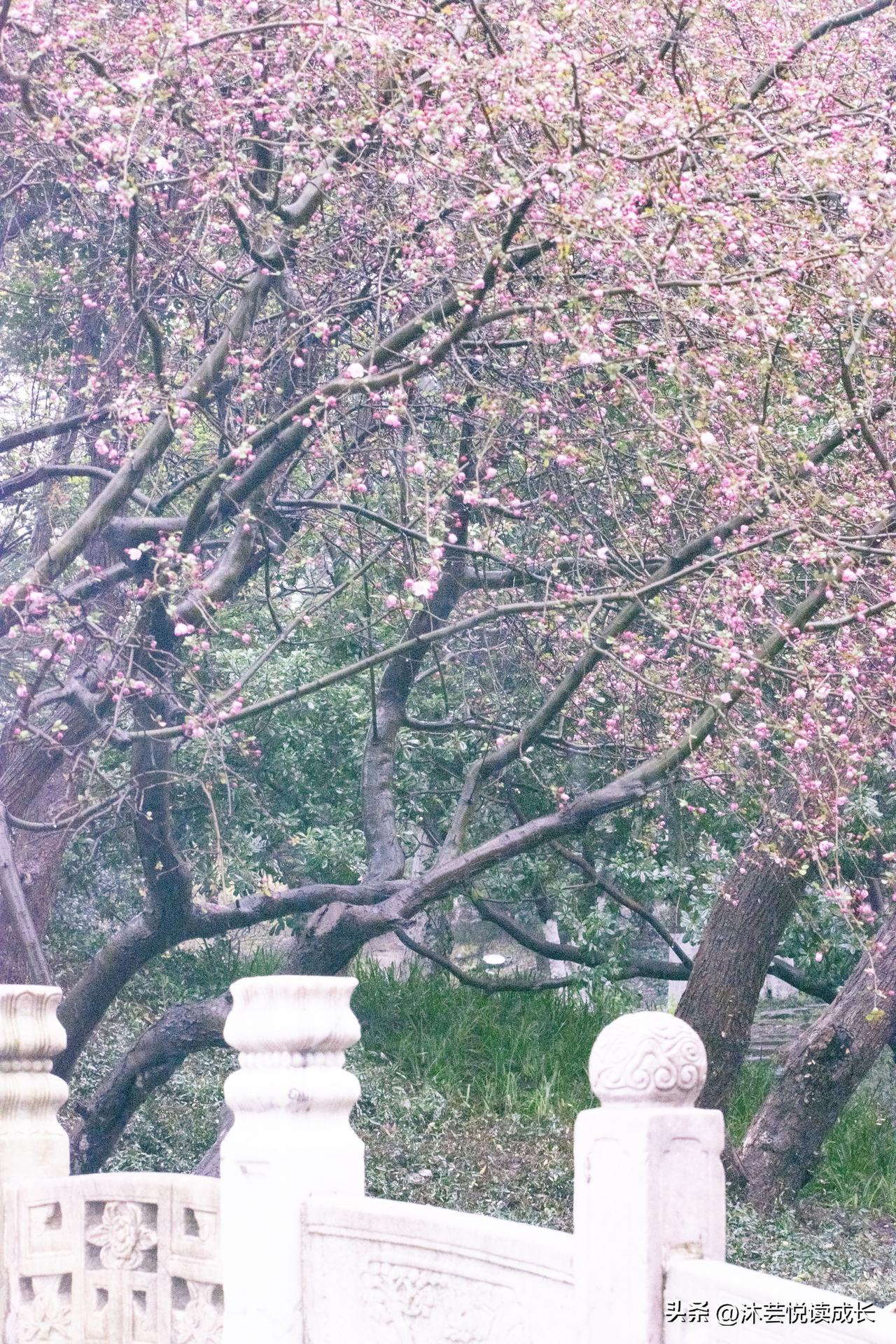 人性最大的讽刺，莫过于此😮‍💨
 
你有没有过这种瞬间：
看着父母日渐苍老的