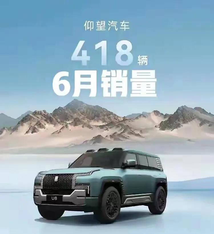 仰望U8这么快就结束了。

仰望U8刚出来的时候，拳打宝马X7，脚踢奔驰大G，6