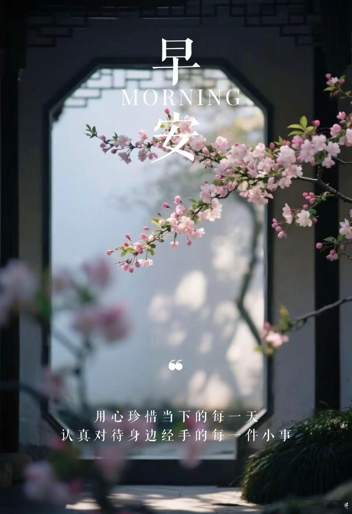 宽窄思语 世间万般繁华，不过一缕清风；脚下步步莲开，无非当下道场。愿你在这喧嚣尘