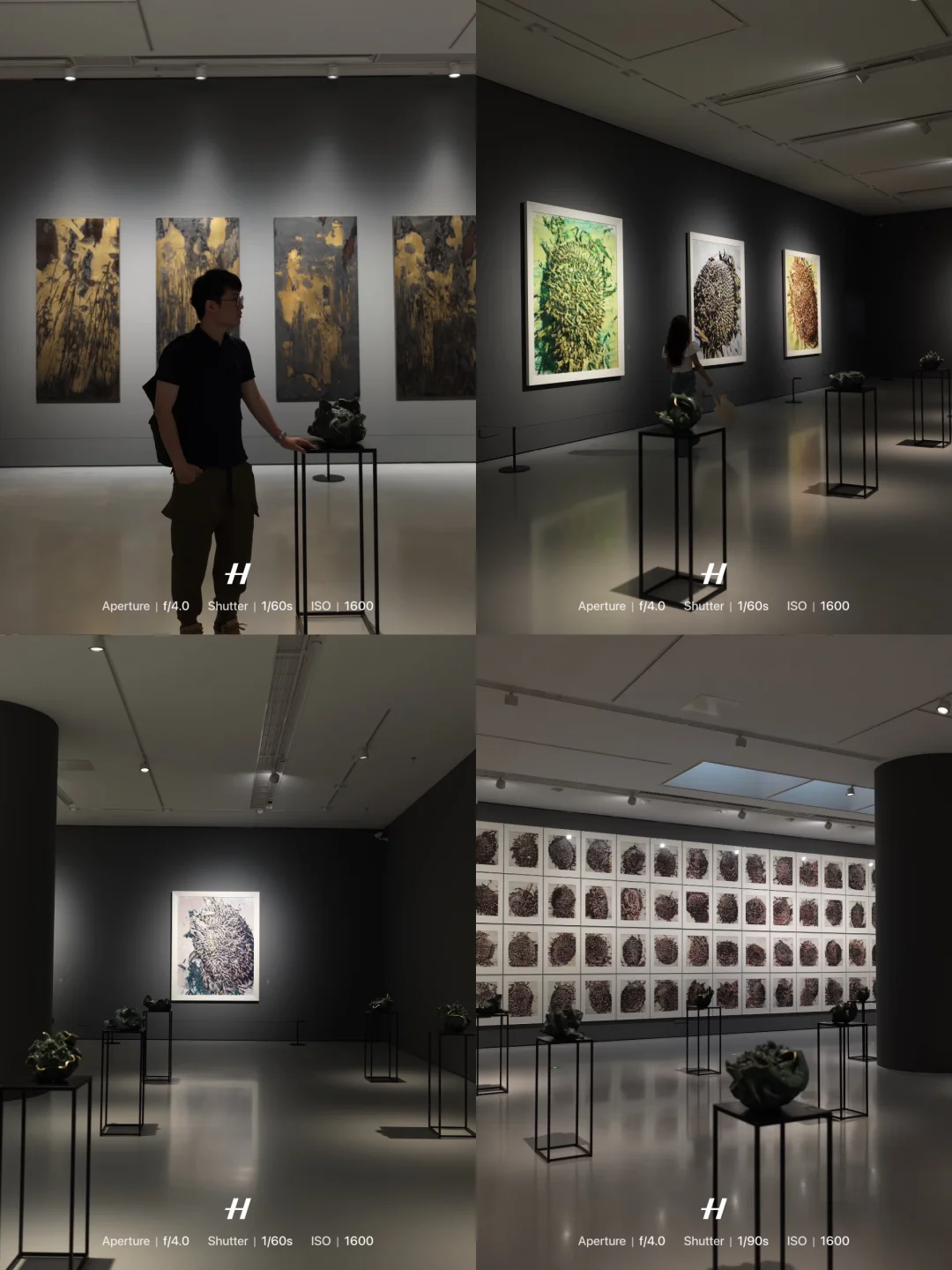广州看展🎨被这巨型葵山硬控了🌻