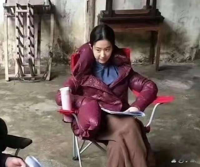 刘亦菲真是演不了一点农村人啊 