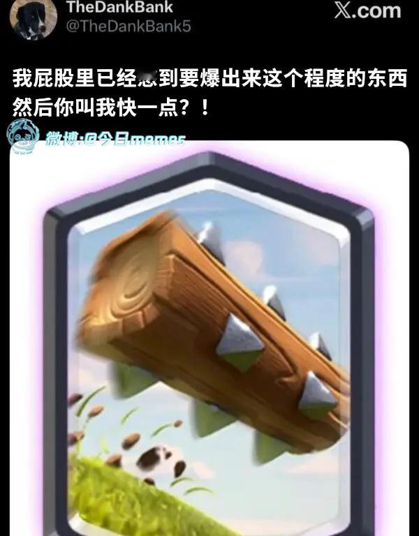 真不行了（TheDankBank5） 