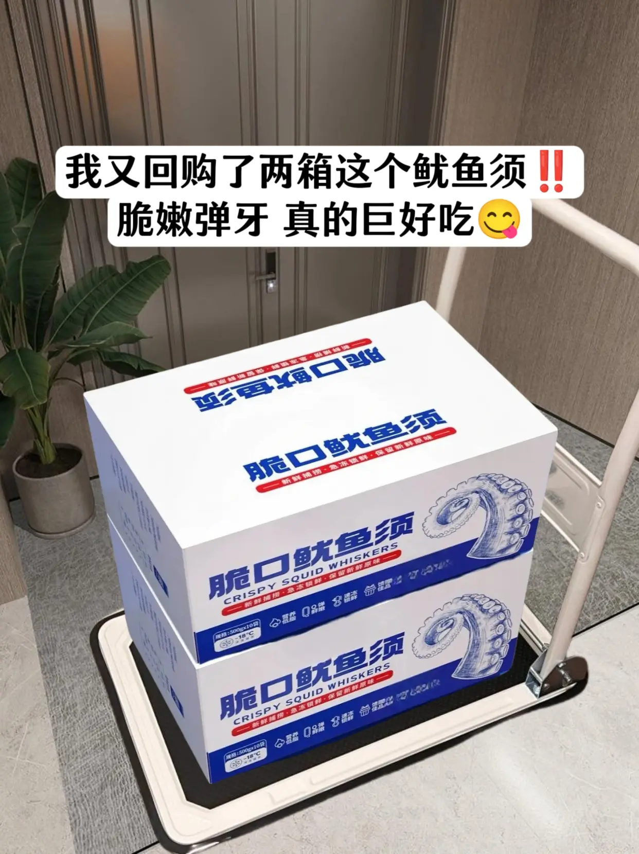 回购率超高的鱿鱼须来了‼️。家人们，这个鱿鱼须真的太好吃了，都是精选品...