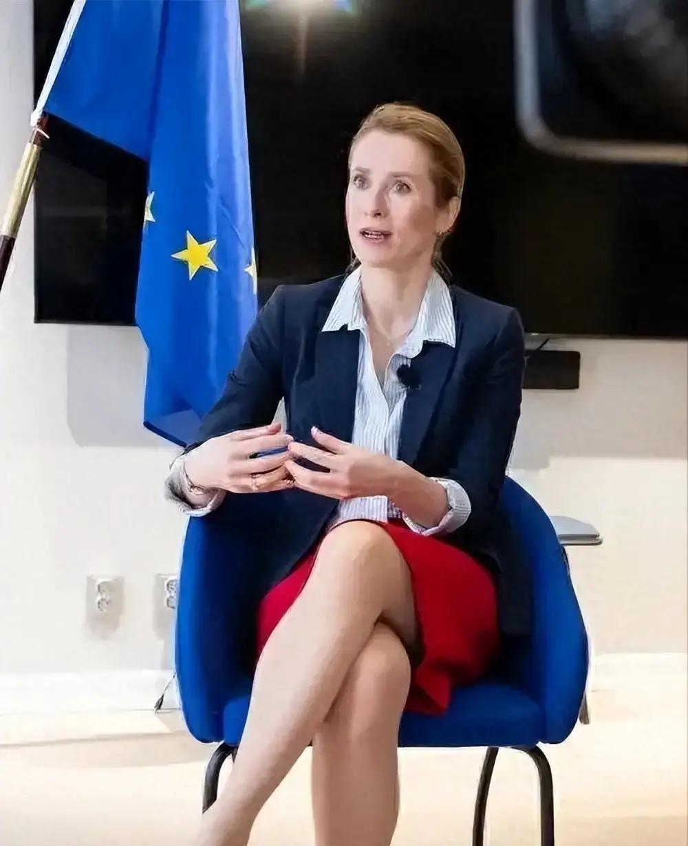 快讯！
欧盟外长卡娅·卡拉斯突然宣布了。
近期在布鲁塞尔的一场公开会上，卡拉斯当