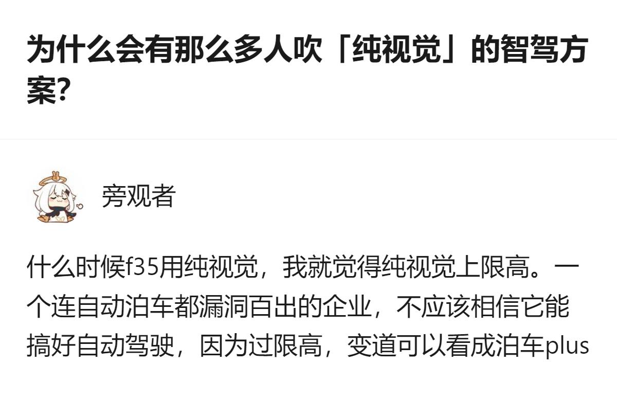 关于智驾方案的讨论里，有人觉得纯视觉方案站不住脚，认为视觉加雷达的方案至少能实现