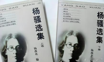 民国文坛堪称第一浪子的杨骚，才华横溢却品行不堪，一句狂言更是把薄情本性展露无遗。