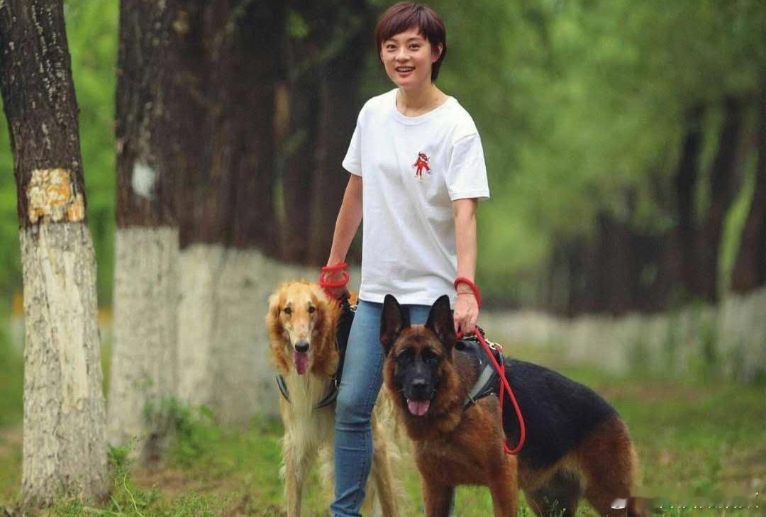 孙俪我们家的狗装死把邓超吓晕了这家庭地位一目了然啊！狗子演得专业，邓超吓得真实—